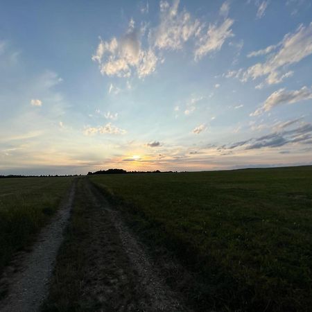 1,5-Zimmer Mit Duschbad, Gartenblick, Kuehlschrank Heroldsberg Eksteriør billede
